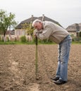 Farmer digging in the garden Royalty Free Stock Photo