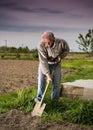 Farmer digging in the garden Royalty Free Stock Photo