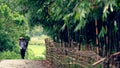 Farmer on dirt road, Sa Pa Valley, Vietnam