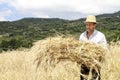 Farmer doing traditional wheat harvest in Greece.