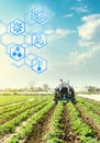 A farmer drives a tractor across potato plantation field and hexagons with innovations. Science of agronomy. Improvement in