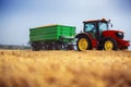 Farmer driving agricultural tractor and trailer full of grain