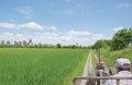 Farmer driving farm tractor or farmer`s truck through green young rice field on lovely tropical sunny day with blue sky. Royalty Free Stock Photo