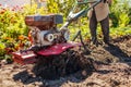Farmer driving small tractor for soil cultivation and potato digging. Autumn harvest potato picking. Agriculture Royalty Free Stock Photo