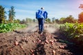 Farmer driving small tractor for soil cultivation and potato digging. Autumn harvest potato picking Royalty Free Stock Photo