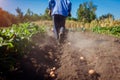 Farmer driving small tractor for soil cultivation and potato digging. Autumn harvest potato picking Royalty Free Stock Photo