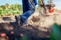 Farmer driving small tractor for soil cultivation and potato digging. Autumn harvest potato picking Royalty Free Stock Photo
