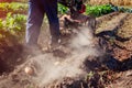 Farmer driving small tractor for soil cultivation and potato digging. Autumn harvest potato picking Royalty Free Stock Photo