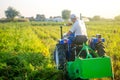 A farmer is driving a tractor across a potato and carrot farm field. Extract root vegetables to surface. Farming and farmland.