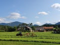 Farmer driving tractor to prepare the freshly mown grass for collecting in rural landscape with his farm in background Royalty Free Stock Photo