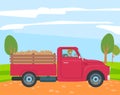 Farmer Driving Truck with Potato in Trunk, Farming