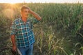 Farmer in the Drought Damaged Cornfield,