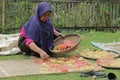 a farmer drying food in the form of crackers to dry in the hot sun