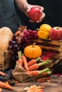 Farmer with eco fruit and vegetables in Autumn. Agricultural on harvest cornucopia in fall season and thanksgiving