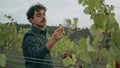 Farmer enjoy vine growth walking grape plantation closeup. Winegrower inspecting