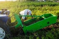 A farmer examines a machine for digging out potato root vegetables. Exploitation and maintenance of equipment. Farming agriculture