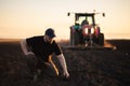 Farmer examing dirt while tractor is plowing field Royalty Free Stock Photo