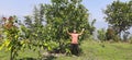 A farmer expressing happiness in field Royalty Free Stock Photo