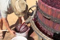 Farmer extracting red grape juice for wine-making Royalty Free Stock Photo