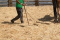 The farmer fanning wheat separating the wheat from the chaff, horse background Royalty Free Stock Photo