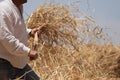 The farmer fanning wheat Royalty Free Stock Photo