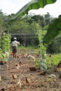 Farmer feeding chickens