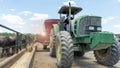 Farmer feeding feeder cattle to produce export beef