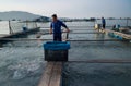 Farmer feeding fishes, Malaysia.