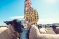 Farmer feeding her sheep on the farm