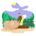 Farmer feeds pigs. Background landscape. Color illustration.