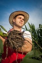 Farmer in field Royalty Free Stock Photo
