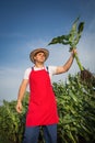 Farmer in field Royalty Free Stock Photo