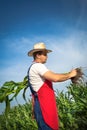 Farmer in field Royalty Free Stock Photo