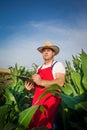 Farmer in field Royalty Free Stock Photo