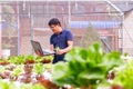 Farmer on a field organic vegetable farm with digital notebook Royalty Free Stock Photo