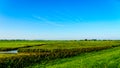 Farmer fields and meadows below the along the Veluwemeer