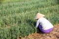 Farmer in the fields