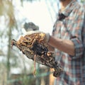 Farmer or fisherman holding shovel with organic soil, compost and earthworms. Vermicomposting, fishing, zero waste gardening,