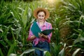 Farmer with a folder stands in a corn field and checks the growth of vegetables. Agriculture - food production, harvest concept