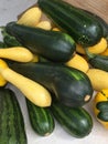 Farmer fresh squash for sale