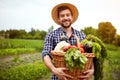 Farmer with freshly picked vegetables in basket Royalty Free Stock Photo