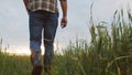 Farmer in front of a sunset agricultural landscape. Man walking in a countryside field. Country life, food production