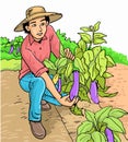 Farmer at the garden