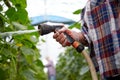 Farmer with garden hose watering at greenhouse