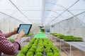 farmer gardener holds a tablet to inspect agricultural produce unmanned aerial vehicle