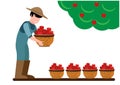 Farmer or gardener picks apples from trees in the orchard, flat vector illustration. Summer or autumn apple orchard with a Royalty Free Stock Photo