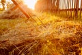 Farmer gathers hay with pitchfork at sunset in countryside
