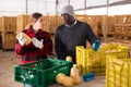 Farmer and girl manager communicate at farm warehouse