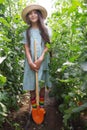 Farmer girl with scoop shovel in organic tomato vegetable plants in a greenhouse. Ripe tomatoes Royalty Free Stock Photo