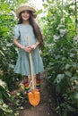 Farmer girl with scoop shovel in organic tomato vegetable plants in a greenhouse. Ripe tomatoes. Farming, gardening, lifestyle in Royalty Free Stock Photo